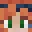 geminitay's player head.
